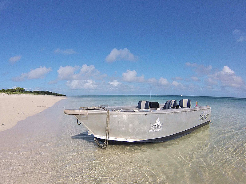 Liveaboard Charter Boat Weipa