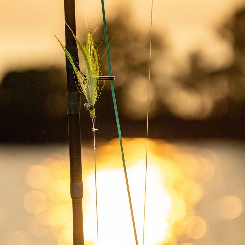 Saltwater Fly Fishing Cape York