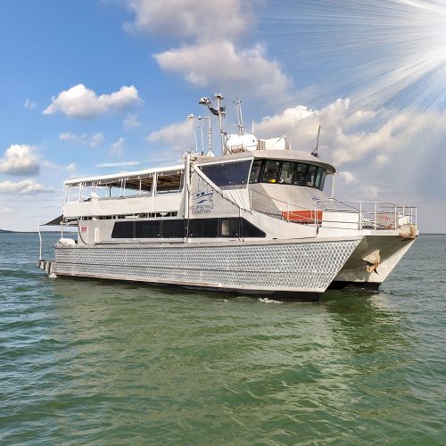 Cape York Liveaboard Charters