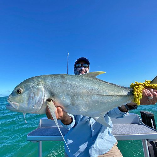 Cape York Sport Fishing