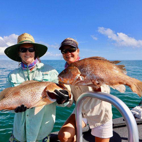 Cape York Sport Fishing