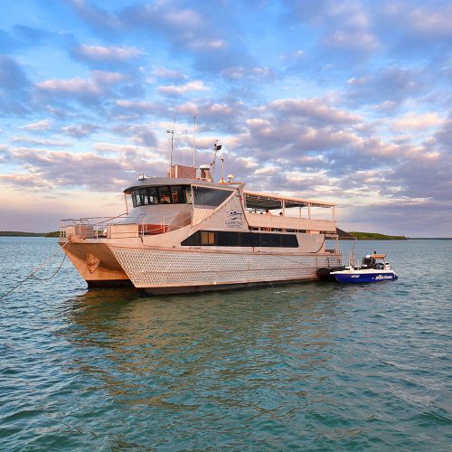 Tropic Paradise Vessel