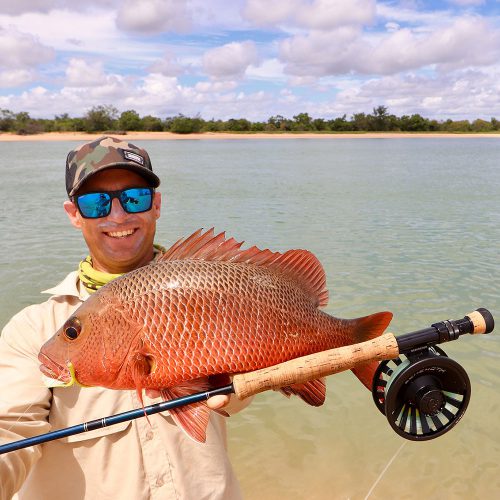 Saltwater Fly Fishing Cape York