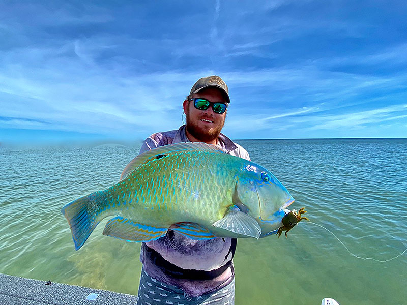 Cape York Sport Fishing